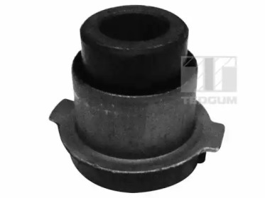 TEDGUM 00515796 -  Шарнирный кронштейн, подвеска двигателя