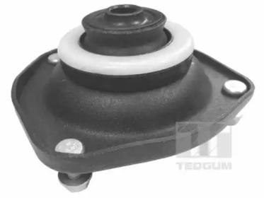 TEDGUM 00532969 -  