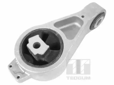 TEDGUM 00533218 -