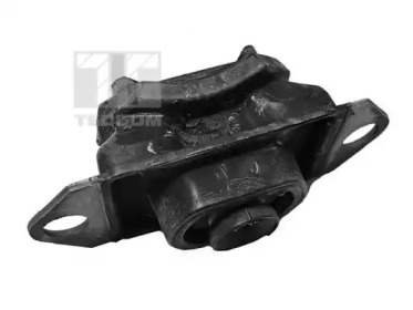 TEDGUM 00580818 -  Подвеска, двигатель