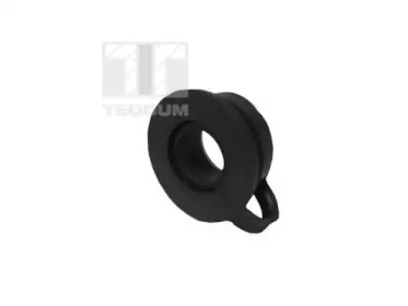 TEDGUM 00581389 -