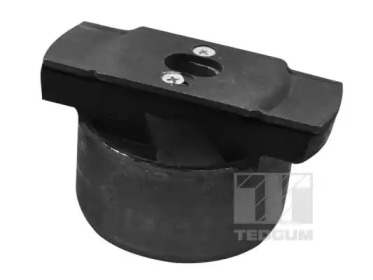TEDGUM 00584273 -  Сайлентблок рычага подвески