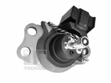 TEDGUM 00586865 - Подвеска, двигатель