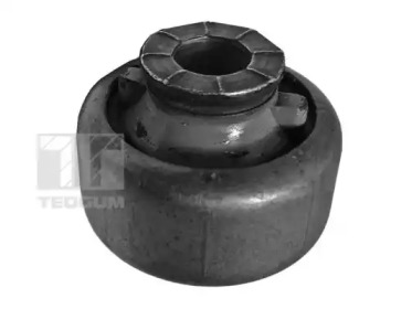 TEDGUM 00588645 -  Подвеска, рычаг независимой подвески колеса