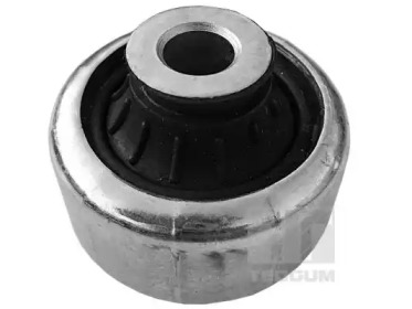 TEDGUM 00588676 -  Подвеска, рычаг независимой подвески колеса