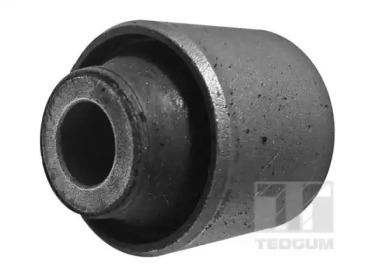 TEDGUM 00620909 -