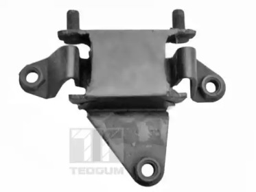 TEDGUM 00653892 -  Подвеска, держатель ступенчатой коробки передач