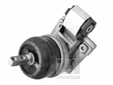 TEDGUM 00724493 -  Подвеска, двигатель