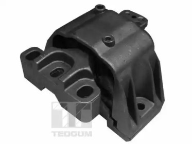 TEDGUM 00725548 - Подвеска, двигатель
