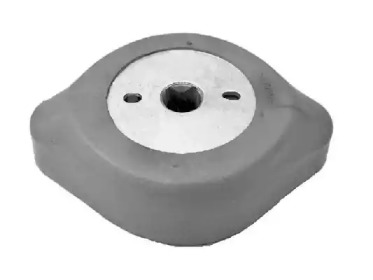 TEDGUM 00725603 - Подвеска, двигатель