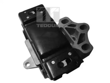 TEDGUM 00726599 -  