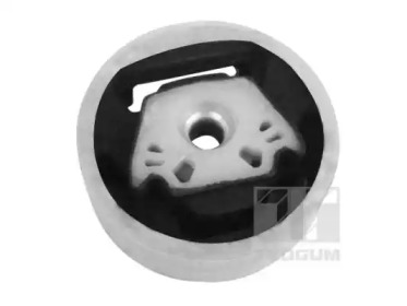 TEDGUM 00728393 -  Подвеска, двигатель