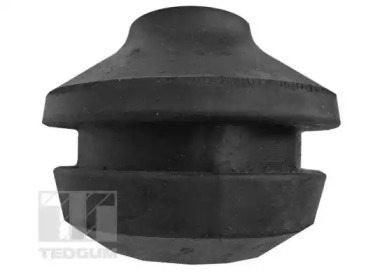 TEDGUM 00728859 - Подвеска, двигатель