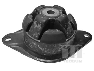 TEDGUM 00729028 - Подвеска, двигатель