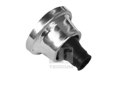 TEDGUM 00729334 -  