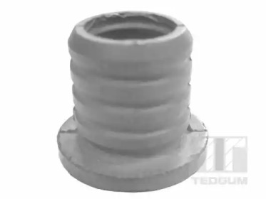 TEDGUM 00737668 -