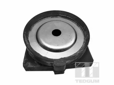 TEDGUM 00740204 -  