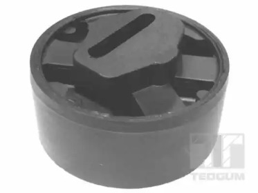 TEDGUM 00744783 -