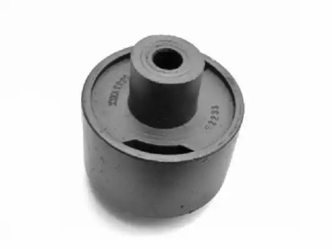 TEDGUM 00745300 -