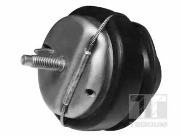 TEDGUM 00745687 -  Подвеска, двигатель