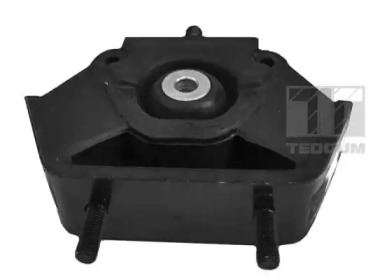 TEDGUM 00971280 - Подвеска, двигатель