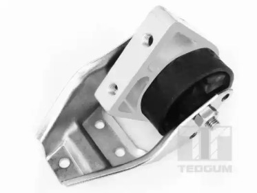 TEDGUM 01008480 - Подвеска, двигатель