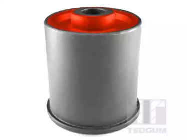 TEDGUM 01147572 -  Подвеска, рычаг независимой подвески колеса