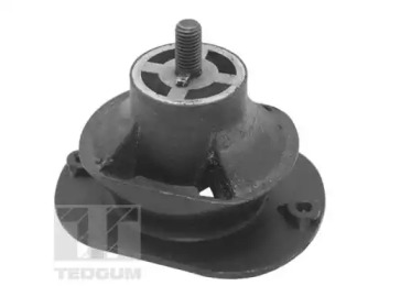 TEDGUM ted40521 -  