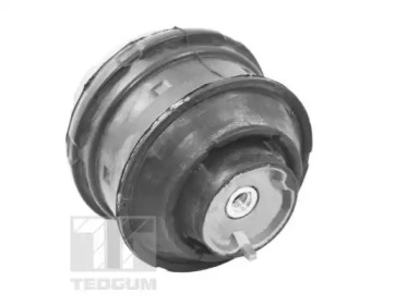 TEDGUM ted72237 -  Подвеска, двигатель