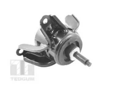 TEDGUM ted80420 - Подвеска, двигатель