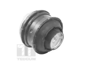 TEDGUM ted81021 -  Подвеска, двигатель