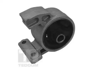 TEDGUM ted94977 -  Подвеска, двигатель