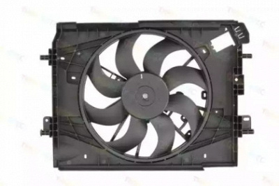 THERMOTEC d8r013tt -  Вентилятор, охлаждение двигателя