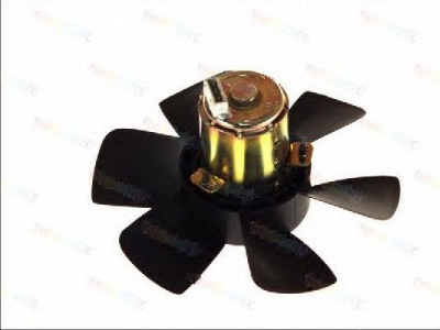 THERMOTEC d8w013tt -  Вентилятор, охлаждение двигателя