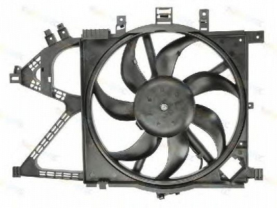 THERMOTEC d8x006tt -  Вентилятор, охлаждение двигателя