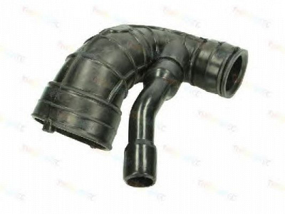 THERMOTEC dcc019tt -  Рукав воздухозаборника, воздушный фильтр