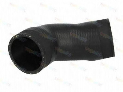 THERMOTEC dcw076tt -  Трубка нагнетаемого воздуха