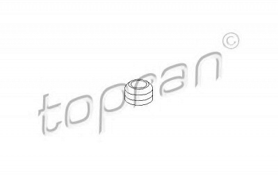 TOPRAN 100291 -  Прокладка, болт крышка головки цилиндра