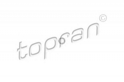 TOPRAN 100597 -  Прокладка, распределитель зажигания