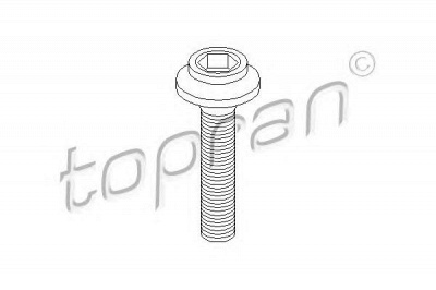 TOPRAN 108139 -  Болт, фланец карданного вала