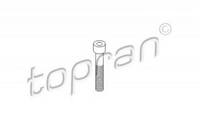 TOPRAN 110708 -  Болт, корпус скобы тормоза