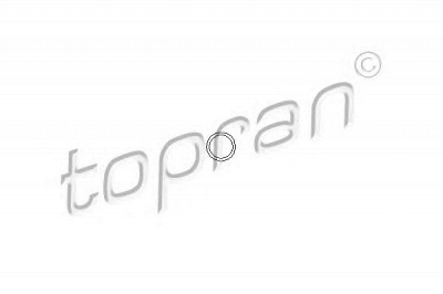TOPRAN 206529 -  Прокладка, болт крышка головки цилиндра