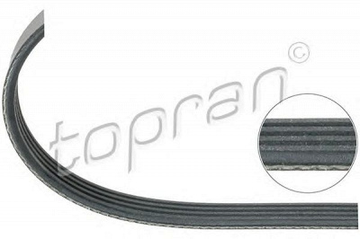 TOPRAN 500689 -  Поликлиновой ремень