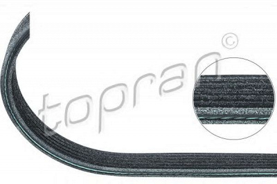 TOPRAN 501683 -  Поликлиновой ремень