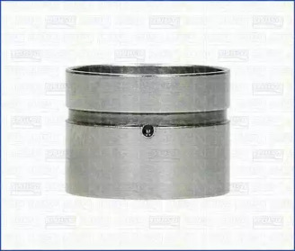TRISCAN 8023000 -  Толкатель