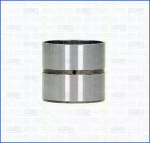 TRISCAN 8025005 -  Толкатель