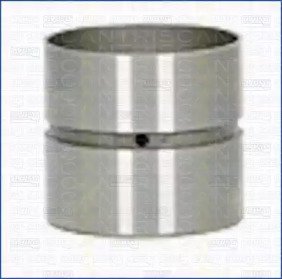TRISCAN 8025007 -  Толкатель