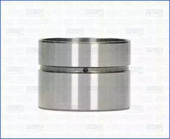 TRISCAN 8029003 -  Толкатель