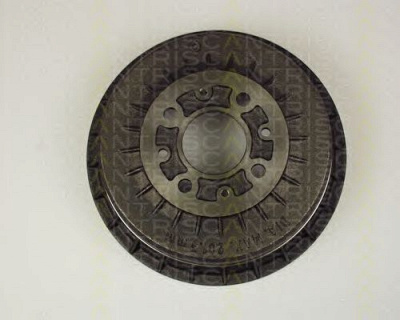TRISCAN 812070202 -  Тормозной барабан