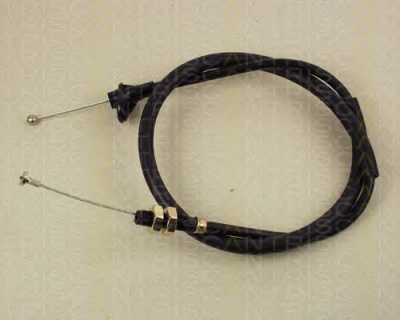 TRISCAN 814012313 -